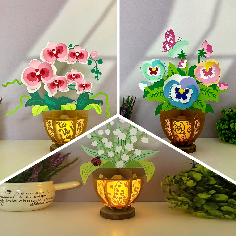 Pack 3 Different Flower Pot 3 - 3D Flower Pot Lantern File - Cricut File - LightBoxGoodMan