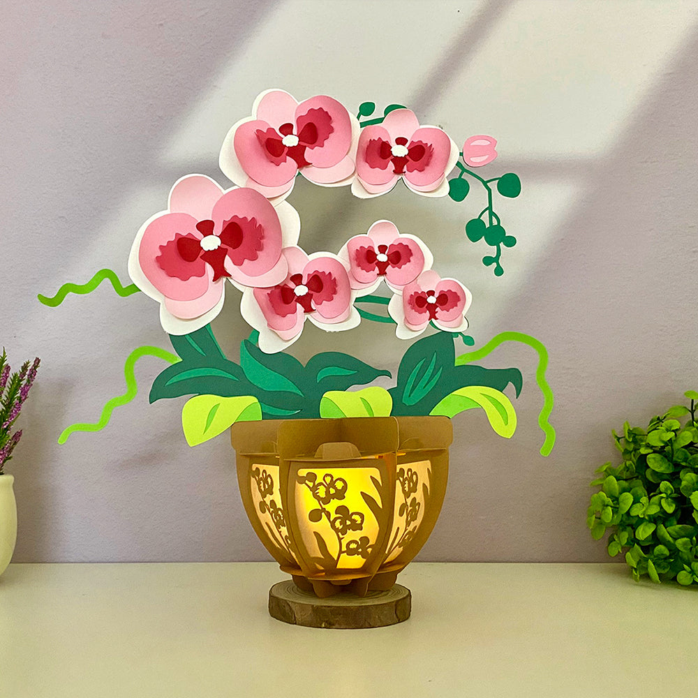Orchid - 3D Flower Pot Lantern File - Cricut File 1 - LightBoxGoodMan