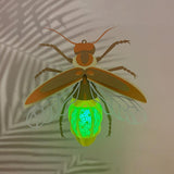 Firefly - 3D Firefly Lantern File - 9.4x9.5