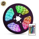 Colorful Cockapoo - Paper Cutting Light Box - LightBoxGoodman - LightboxGoodman